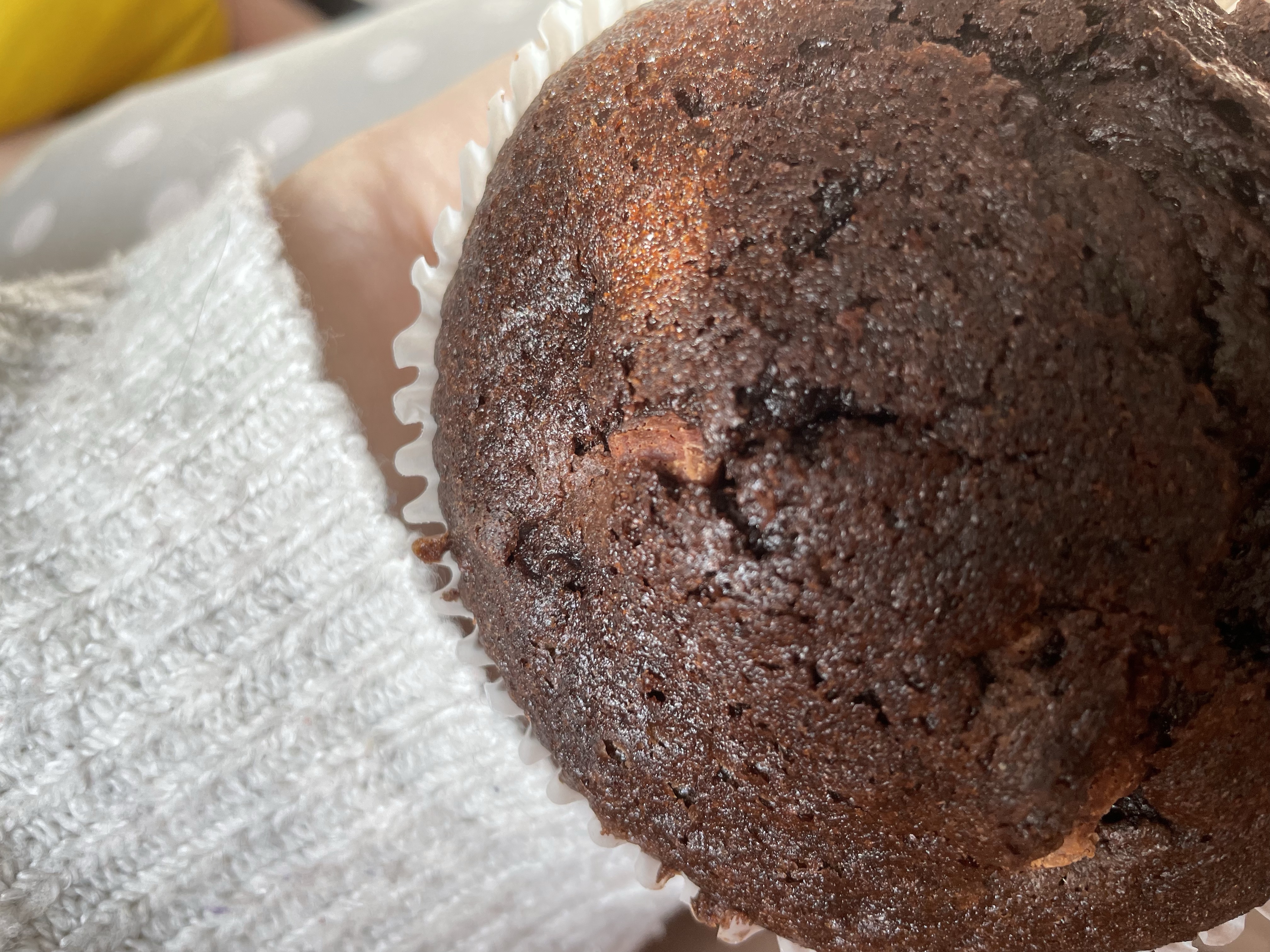 A close up of Tig’s hand holding the giant muffin upon their u-cushion that sits around them and has a grey and white polka dot cover.