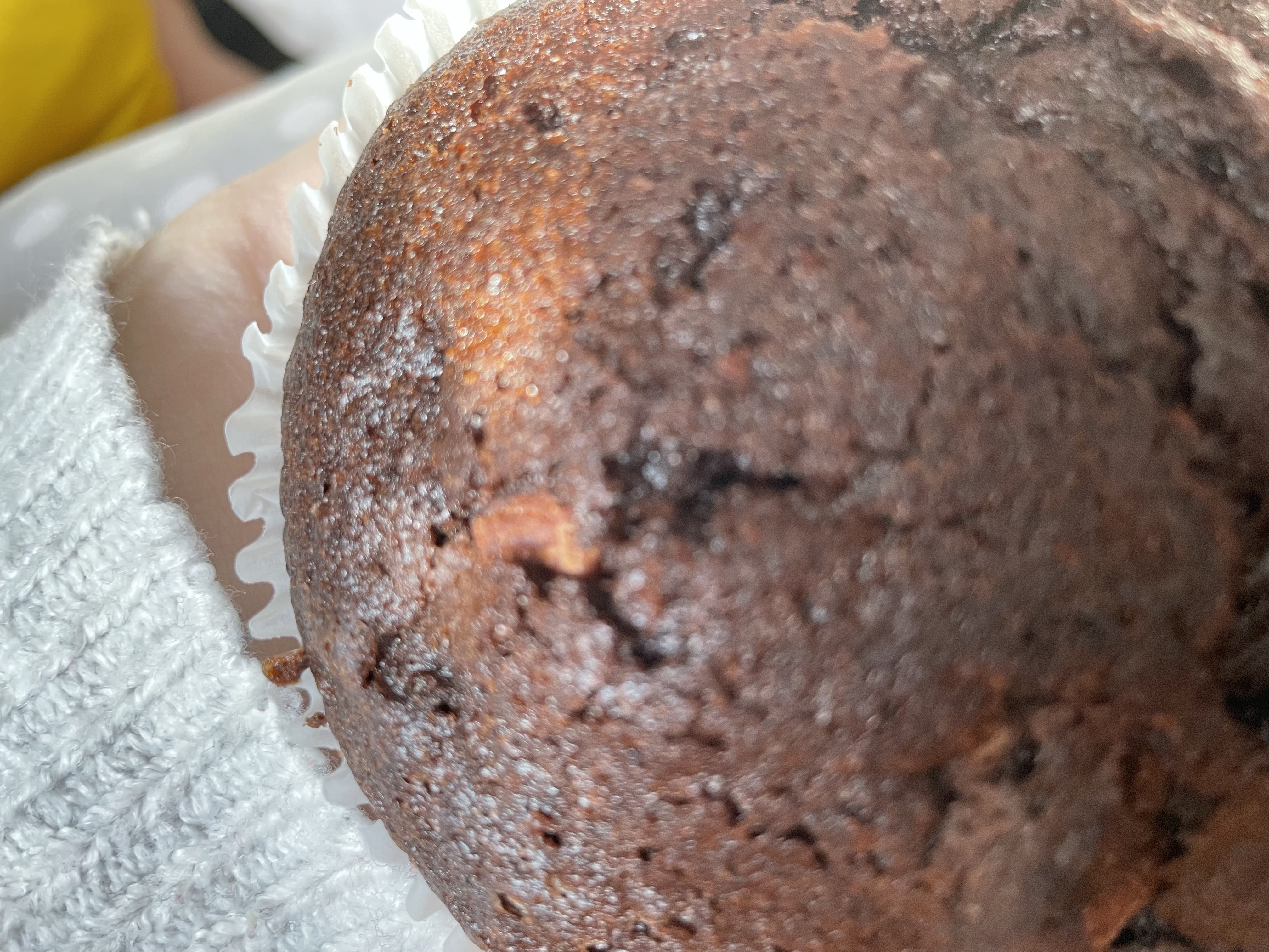 A close up of Tig’s hand holding the giant muffin upon their u-cushion that sits around them and has a grey and white polka dot cover.