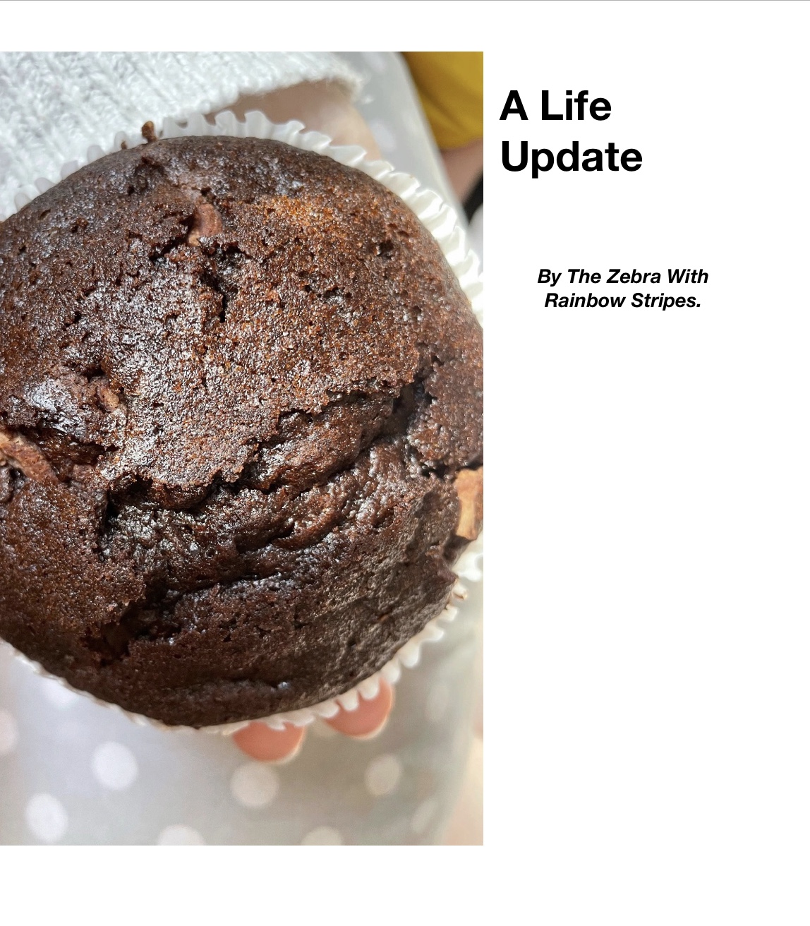 A Life Update Thumbnail.