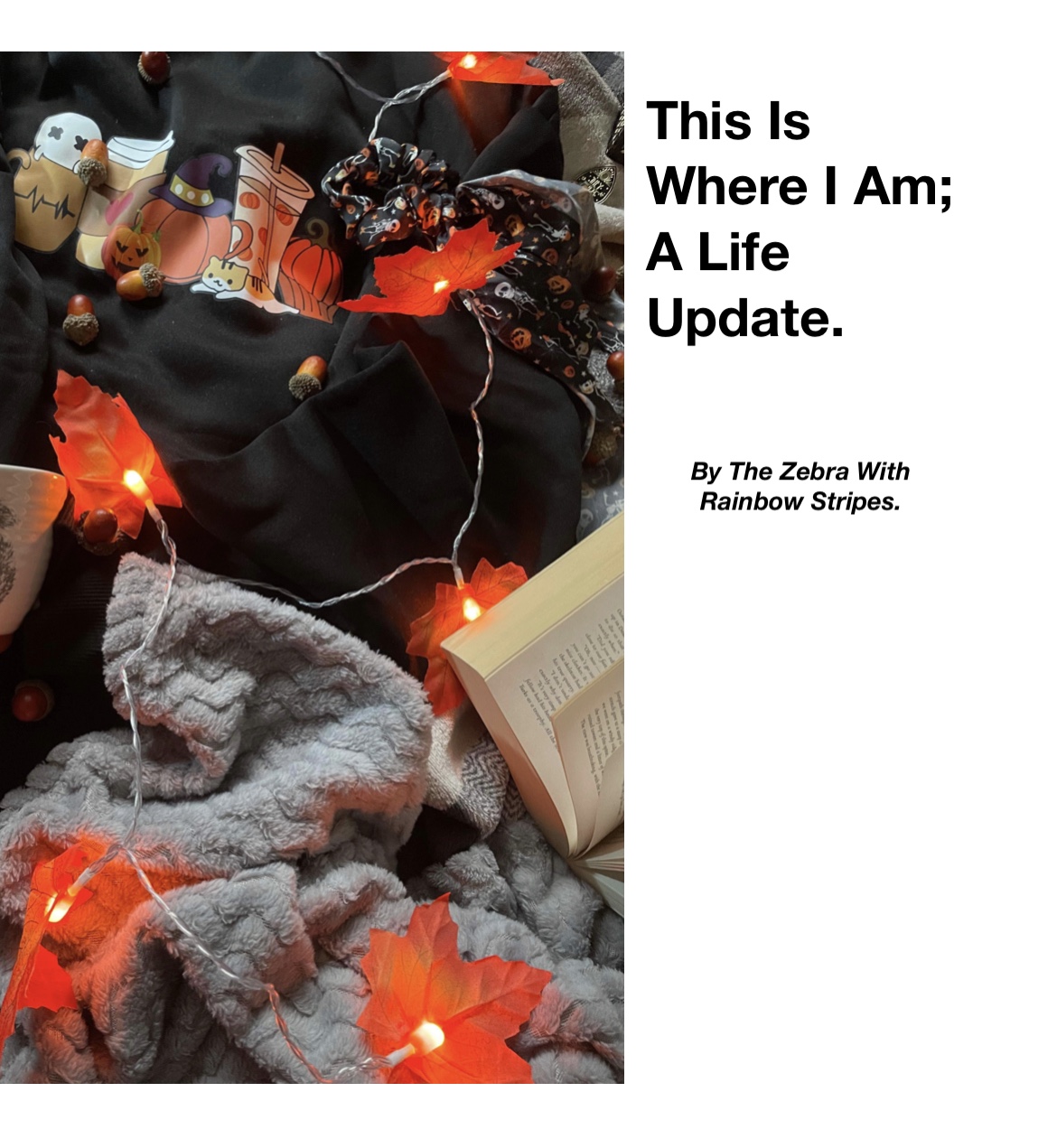 “This Is Where I Am; A Life Update” Thumbnail 