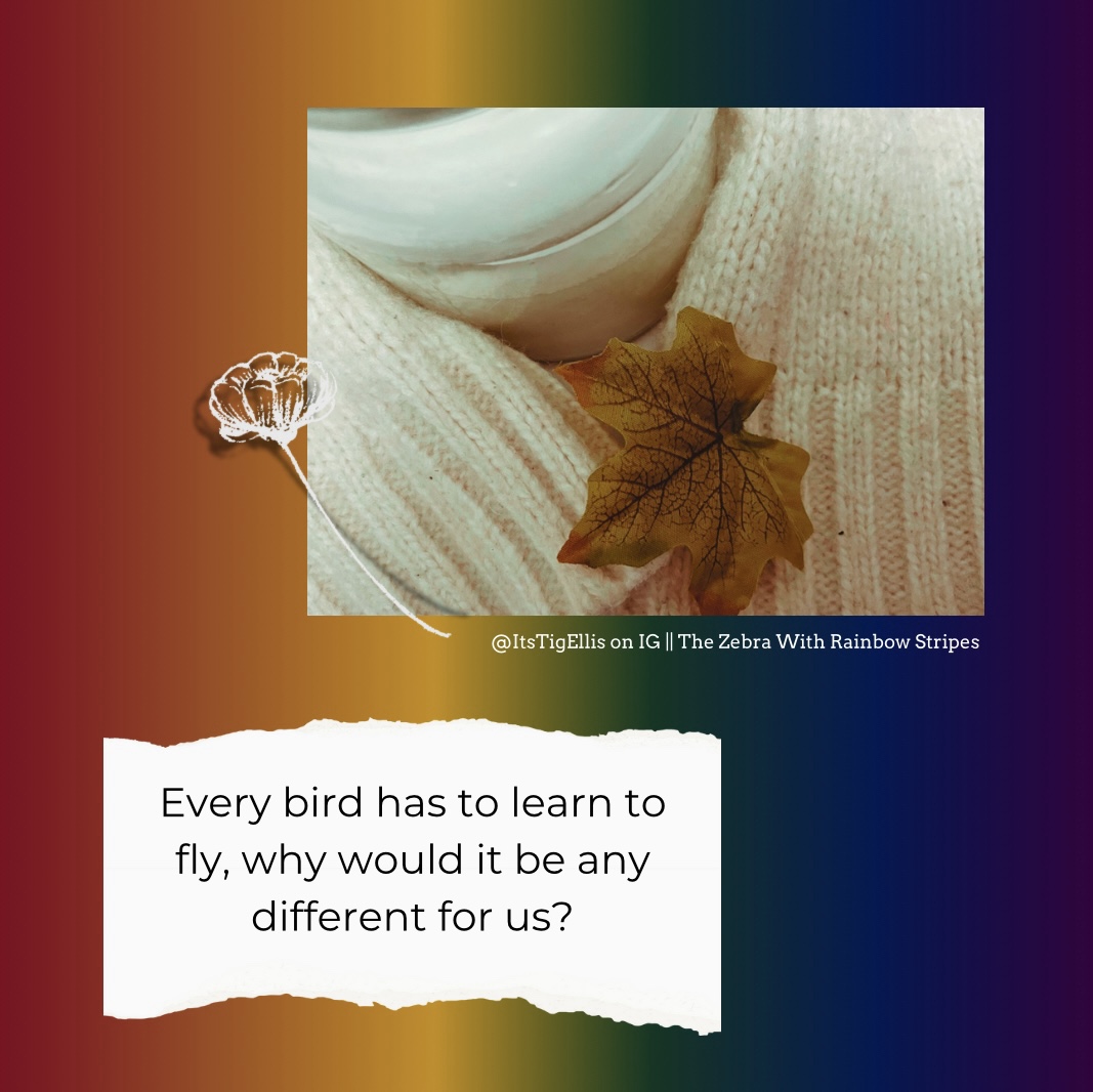 a collage of the text “every bird has to learn to fly, why would it be any different for us?” and a photo of a faux leaf led on a cream knit cardigan on a rainbow background.