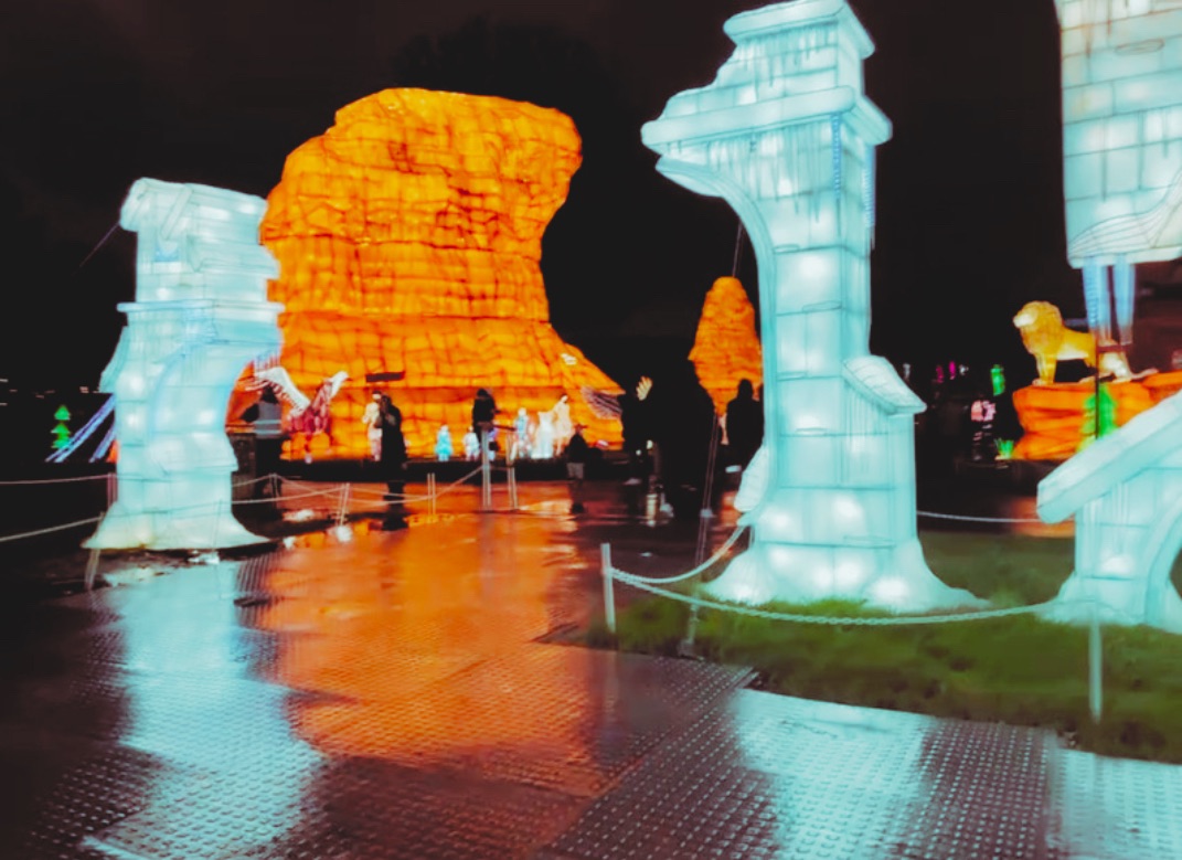 outside Narnia light display 