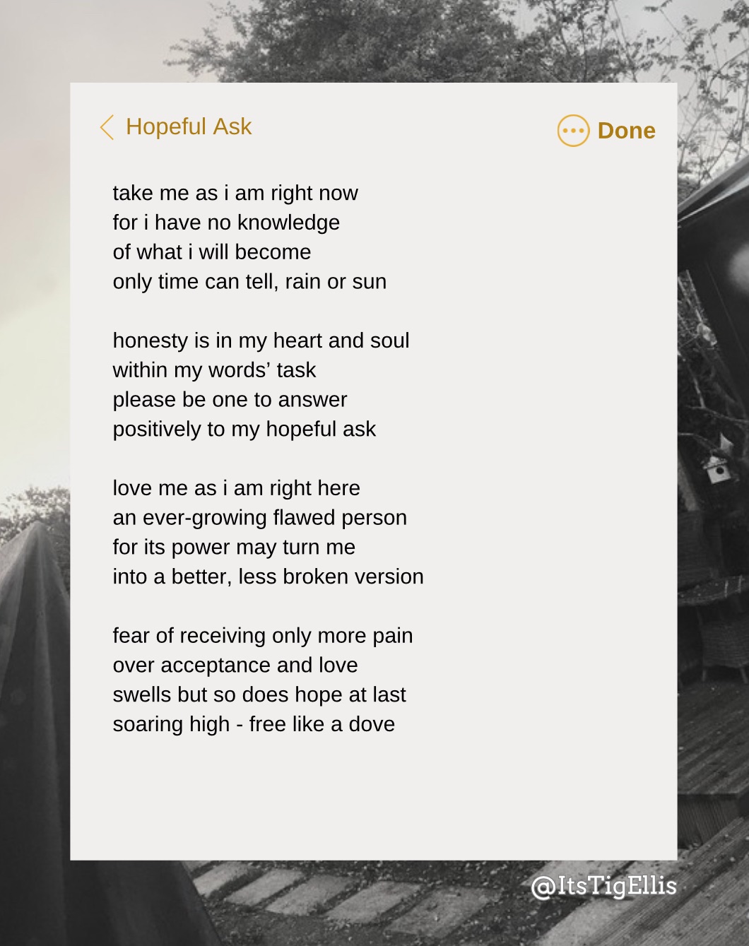 Sun-kissed Skin by Tig Ellis as a ios note over a view of a garden from a rain soaked window. the sun pokes out between clouds: read comments for a written version of the poem.